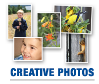 Diversified Photography